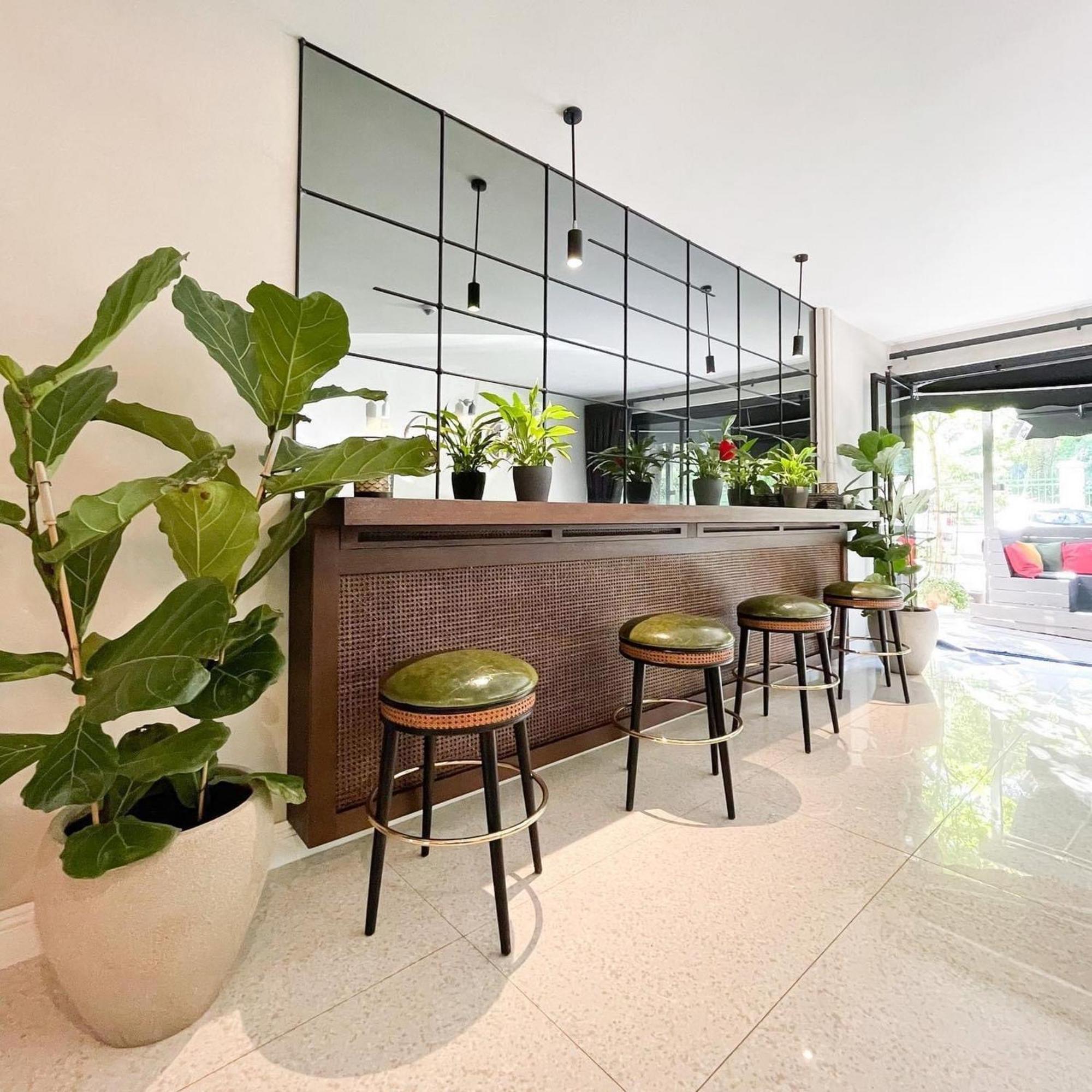 בלגרד Hotel Botanica מראה חיצוני תמונה